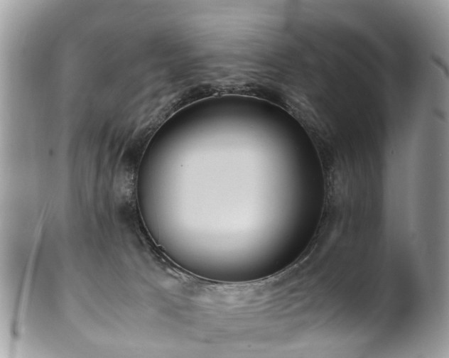 X0000101170033200807071232