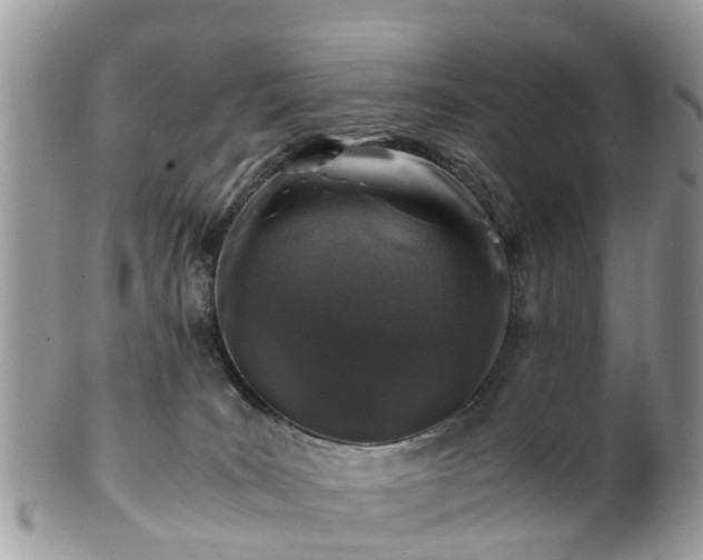 X0000101170035200807071232