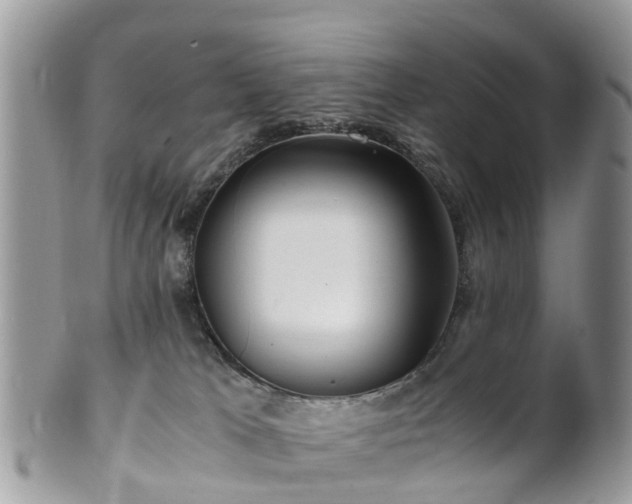 X0000101170037200807071232
