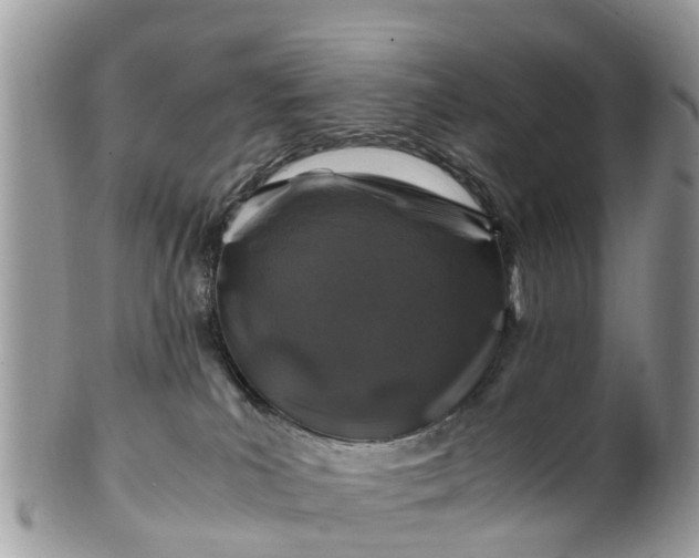 X0000101170039200807071231
