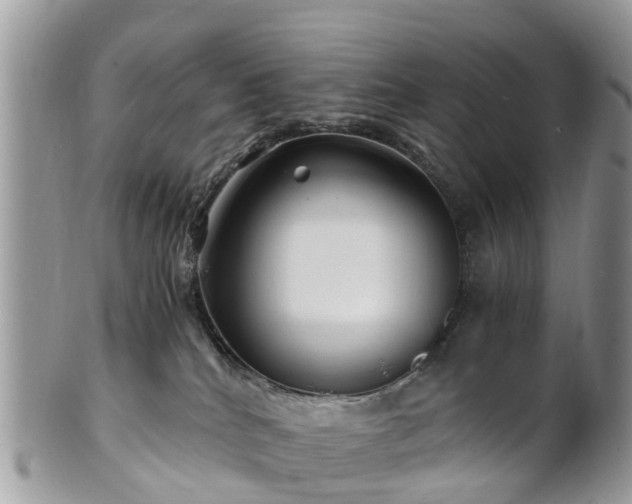X0000101170040200807071231