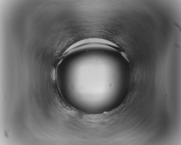 X0000101170041200807071231