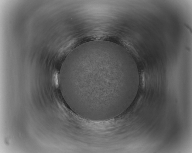 X0000101170042200807071231