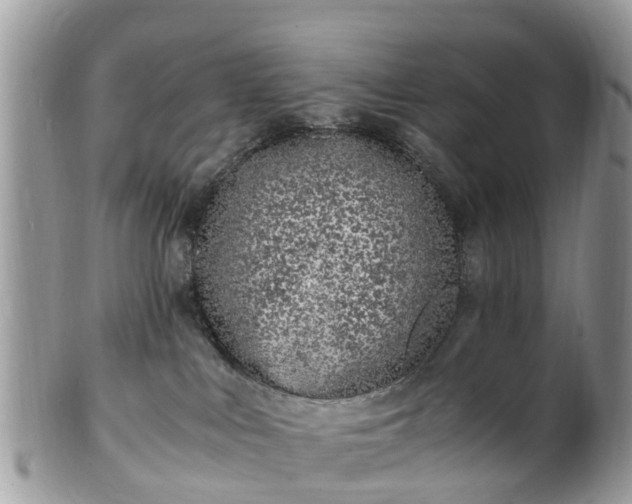 X0000101170043200807071231