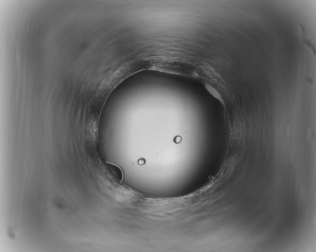 X0000101170045200807071231
