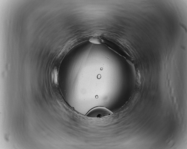 X0000101170046200807071231