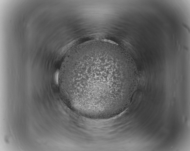 X0000101170047200807071231
