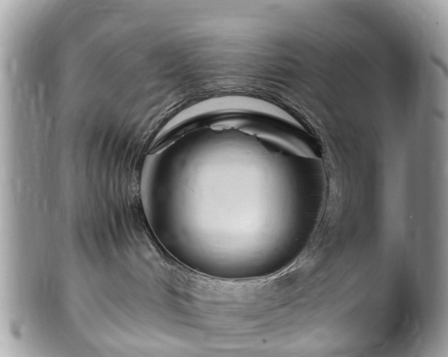 X0000101170048200807071231