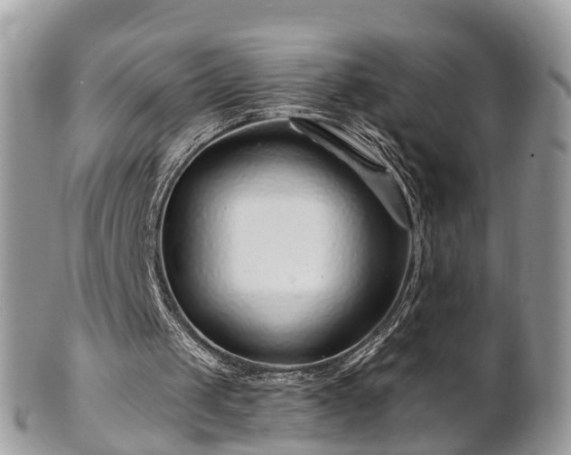 X0000101170049200807071231