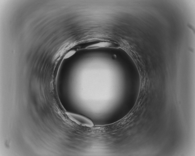 X0000101170050200807071231