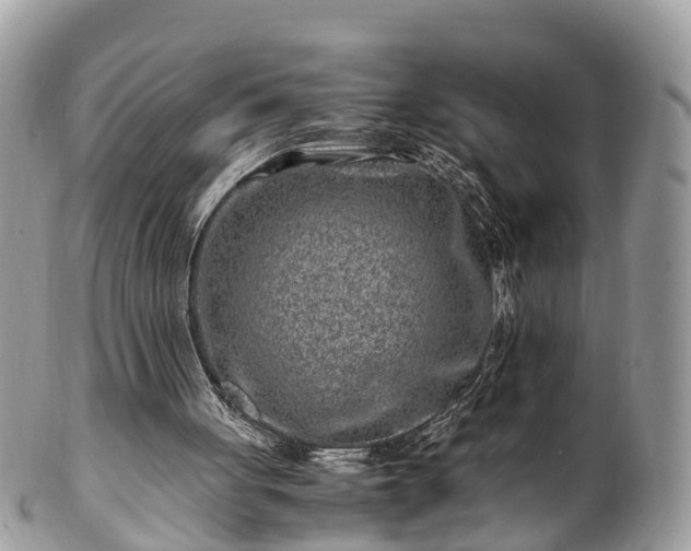 X0000101170051200807071231