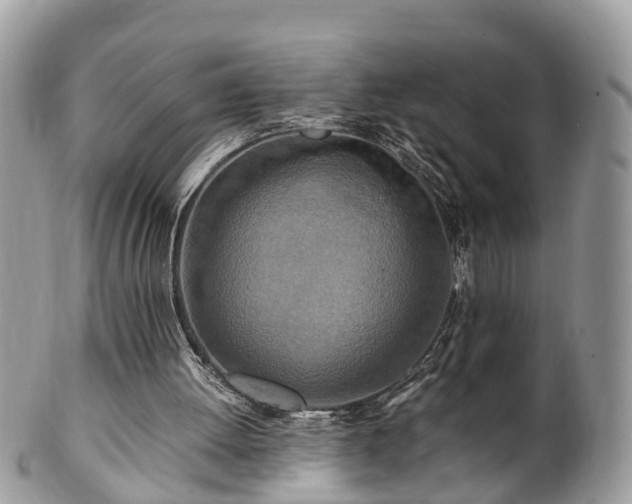 X0000101170052200807071231