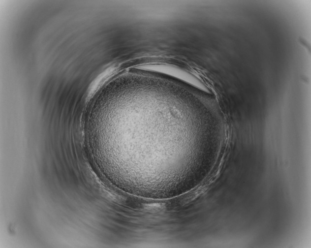 X0000101170053200807071231