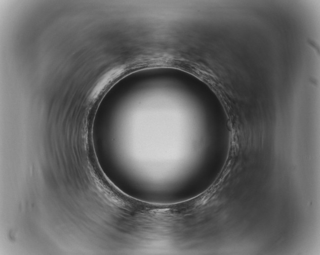 X0000101170054200807071231