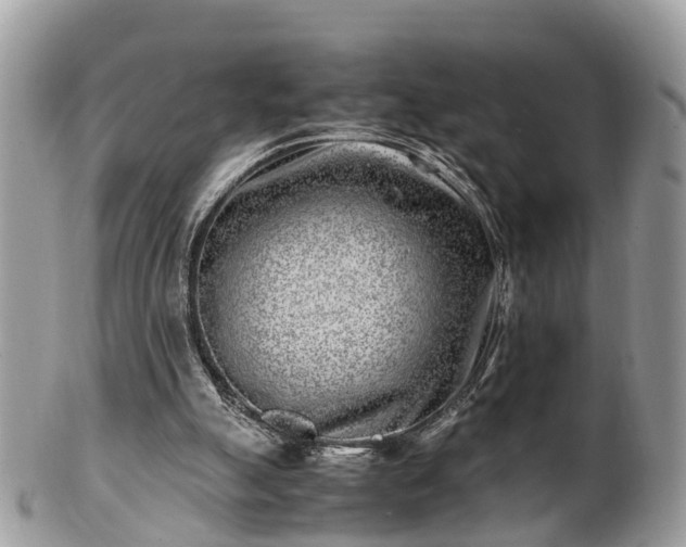 X0000101170055200807071231