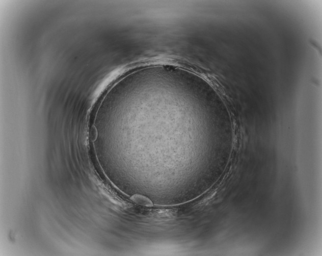 X0000101170056200807071231