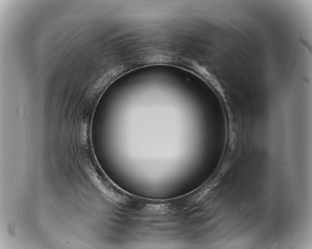 X0000101170057200807071231
