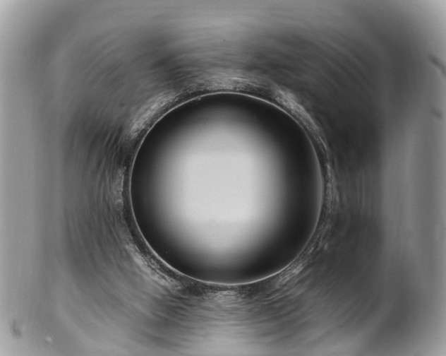 X0000101170058200807071231
