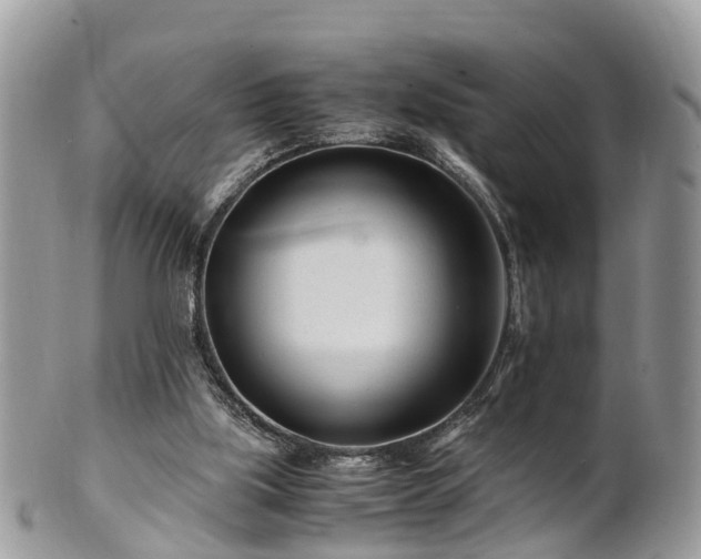 X0000101170059200807071231