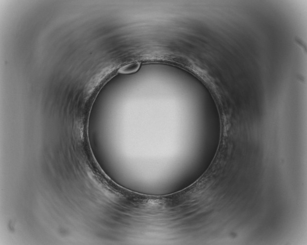 X0000101170060200807071231