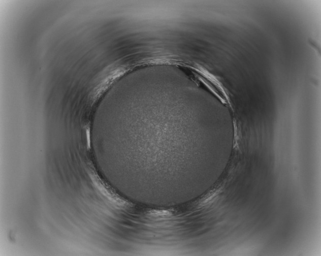 X0000101170061200807071231