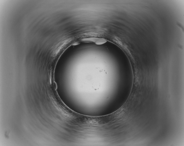 X0000101170062200807071231