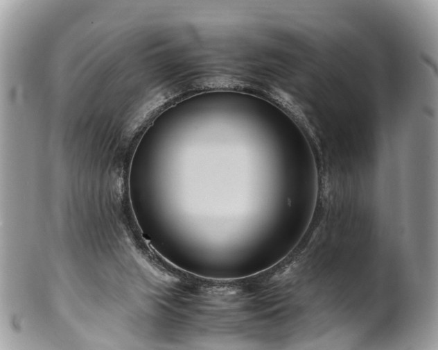 X0000101170063200807071231