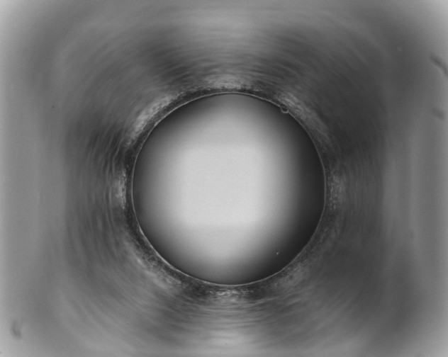 X0000101170064200807071231