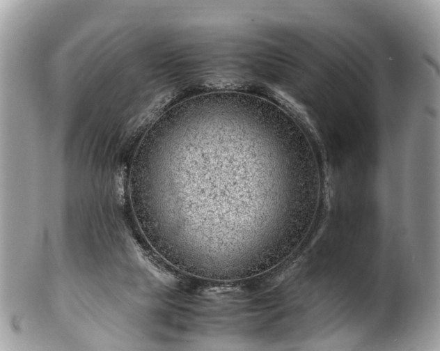 X0000101170065200807071231