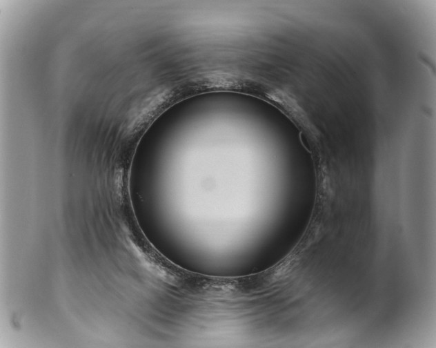 X0000101170066200807071231