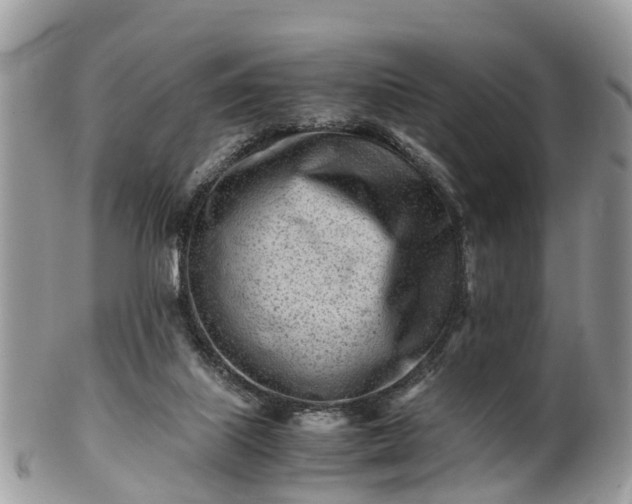 X0000101170067200807071231