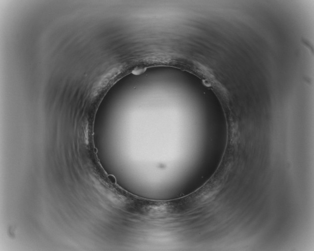 X0000101170068200807071231
