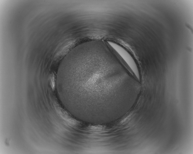 X0000101170069200807071231