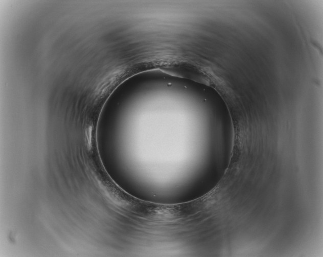 X0000101170070200807071231