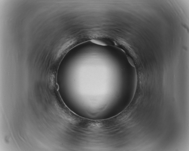 X0000101170071200807071231