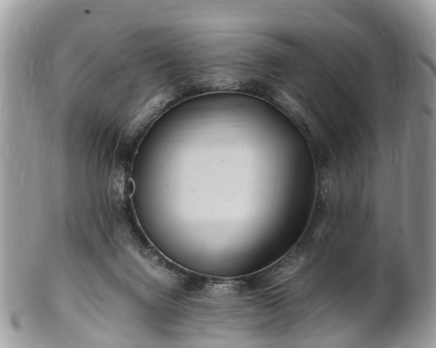 X0000101170072200807071231