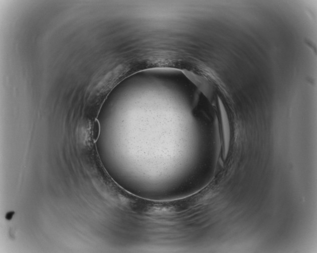 X0000101170073200807071231