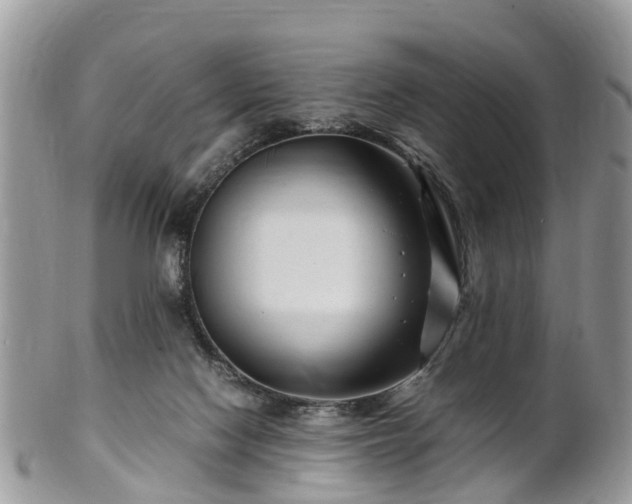X0000101170074200807071231