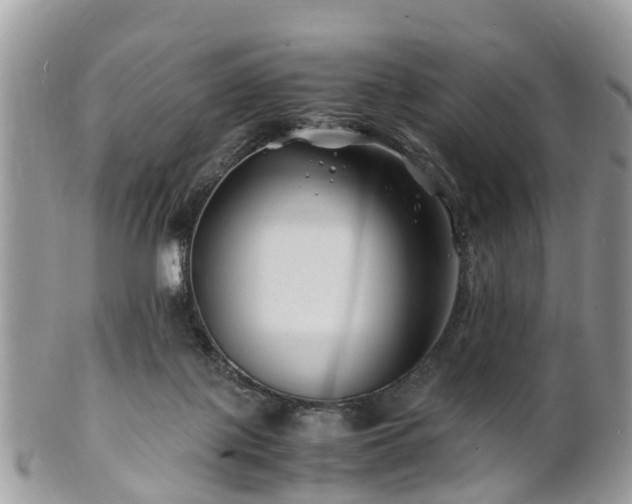 X0000101170075200807071231