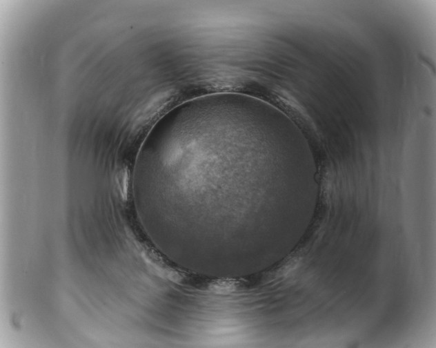 X0000101170076200807071231