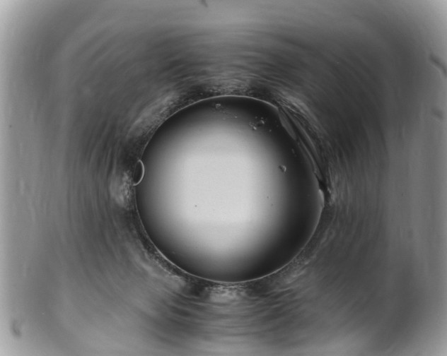 X0000101170077200807071231