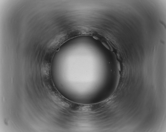 X0000101170078200807071231