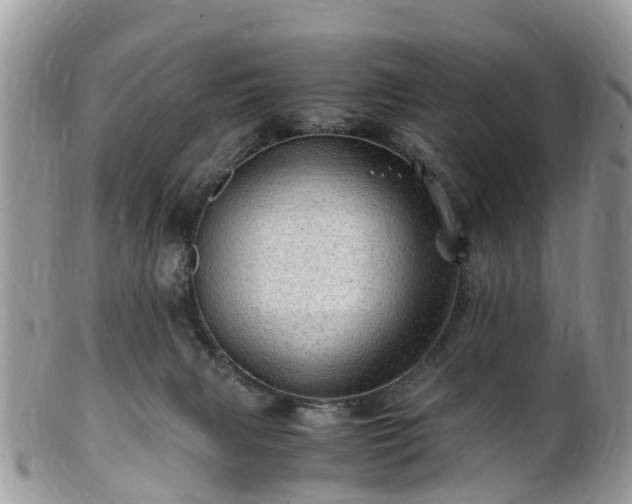 X0000101170079200807071231