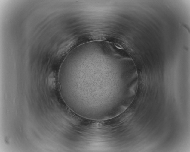 X0000101170080200807071231