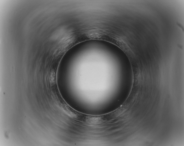X0000101170081200807071231