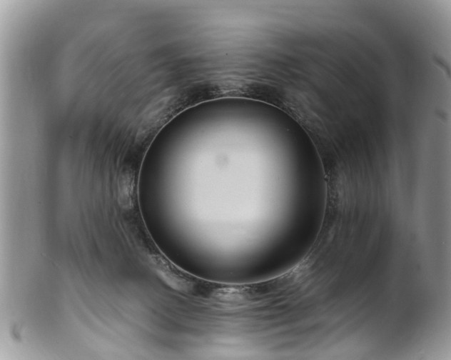 X0000101170082200807071231