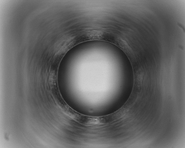 X0000101170083200807071231