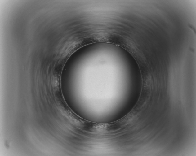X0000101170084200807071231