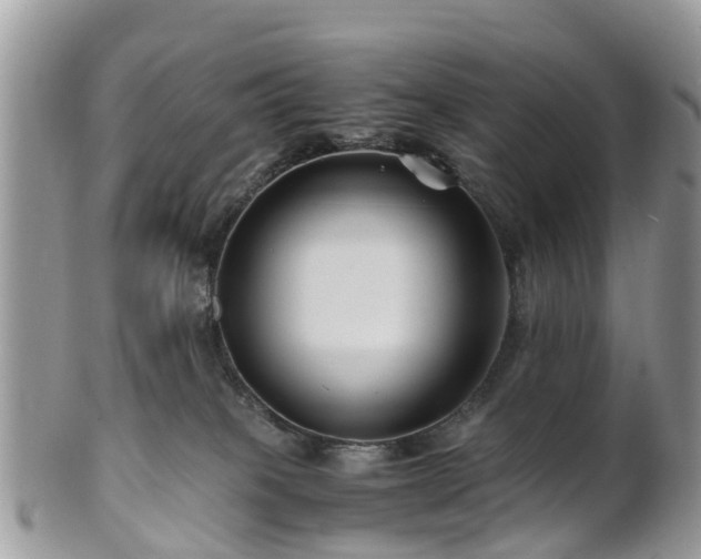 X0000101170085200807071231