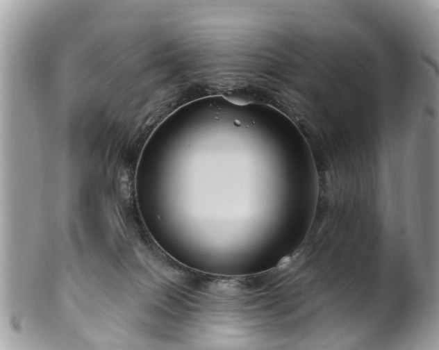 X0000101170086200807071231